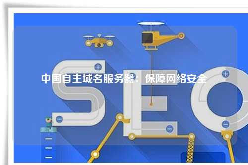 中国自主域名服务器：保障网络安全