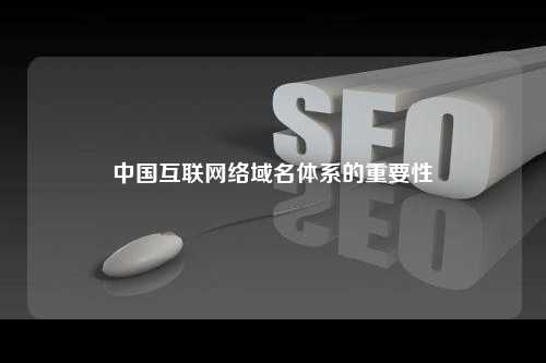中国互联网络域名体系的重要性