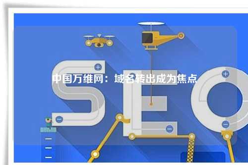 中国万维网：域名转出成为焦点