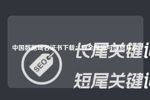 中国数据域名证书下载：安全保障与信息共享