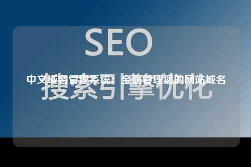 中文域名管理系统：全面管理您的网站域名
