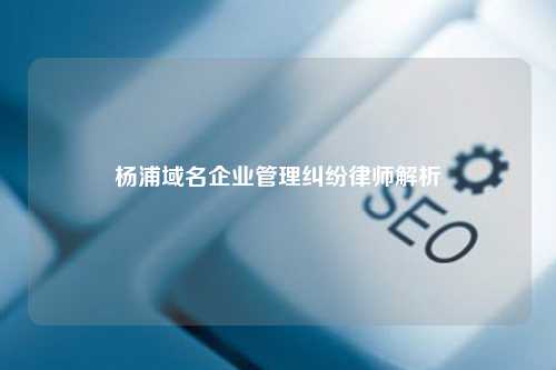 杨浦域名企业管理纠纷律师解析