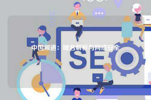 中国频道：域名解析与网络安全