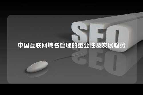 中国互联网域名管理的重要性及发展趋势