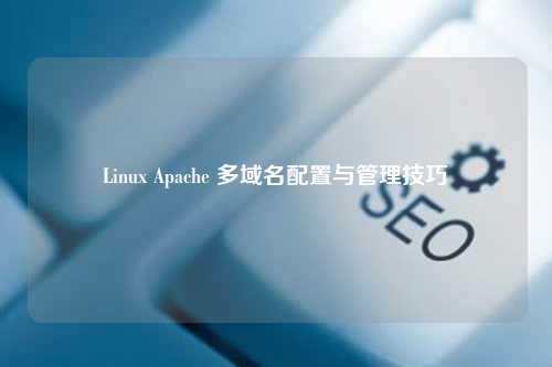 Linux Apache 多域名配置与管理技巧
