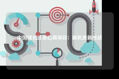 中国域名注册招商项目：新机遇新挑战