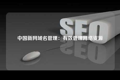 中国新网域名管理：有效管理网络资源