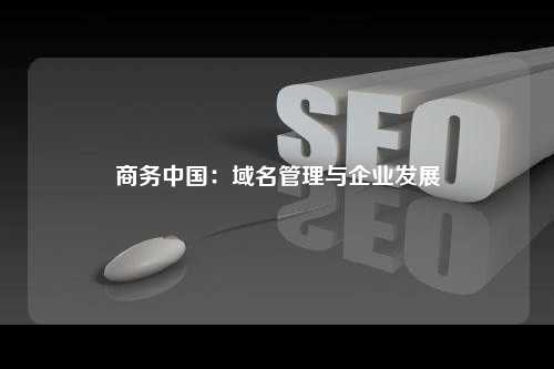 商务中国：域名管理与企业发展