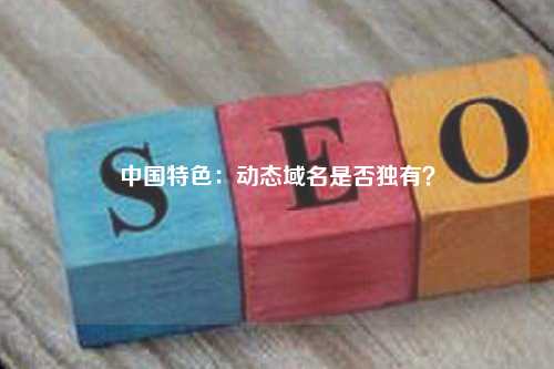 中国特色：动态域名是否独有？